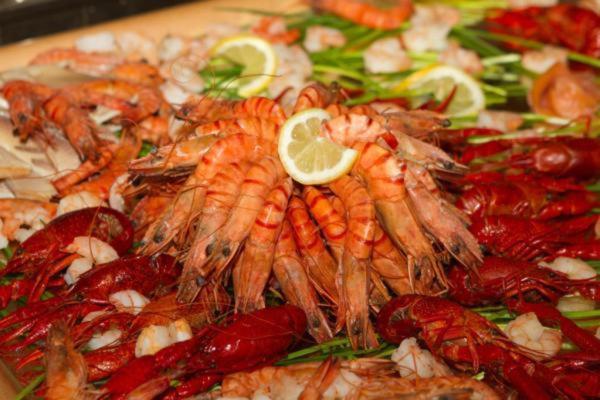 Hotel Half Moon Airport Restaurant Ρίμινι Εξωτερικό φωτογραφία